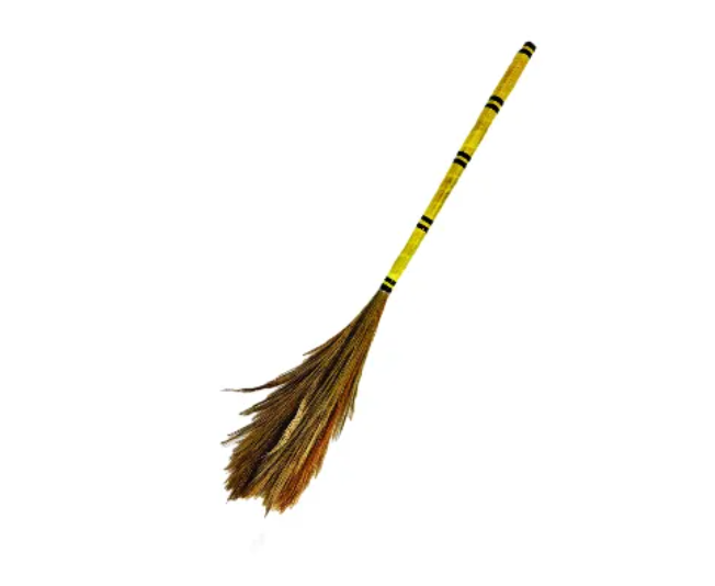 Flower Broom (Ful Jharu)